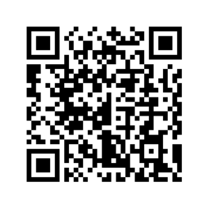 QR Code für den Wahlstand